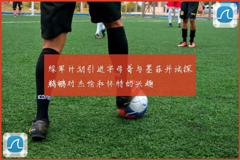 绿军计划引进字母哥与墨菲并试探鹈鹕对杰伦和怀特的兴趣